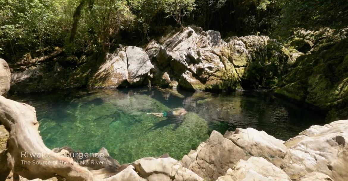 Doonview Chalet #2 Βίλα Riwaka Εξωτερικό φωτογραφία